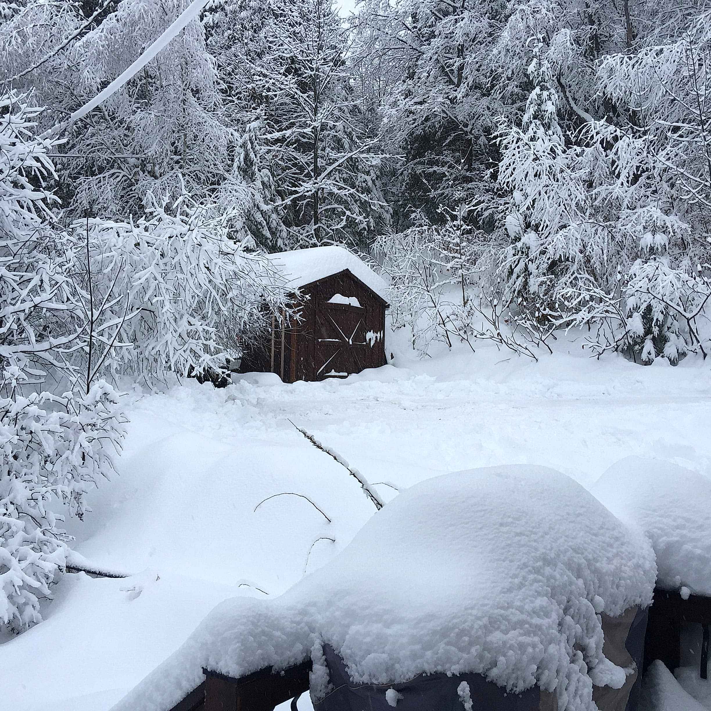 Winter Load Amish Shed