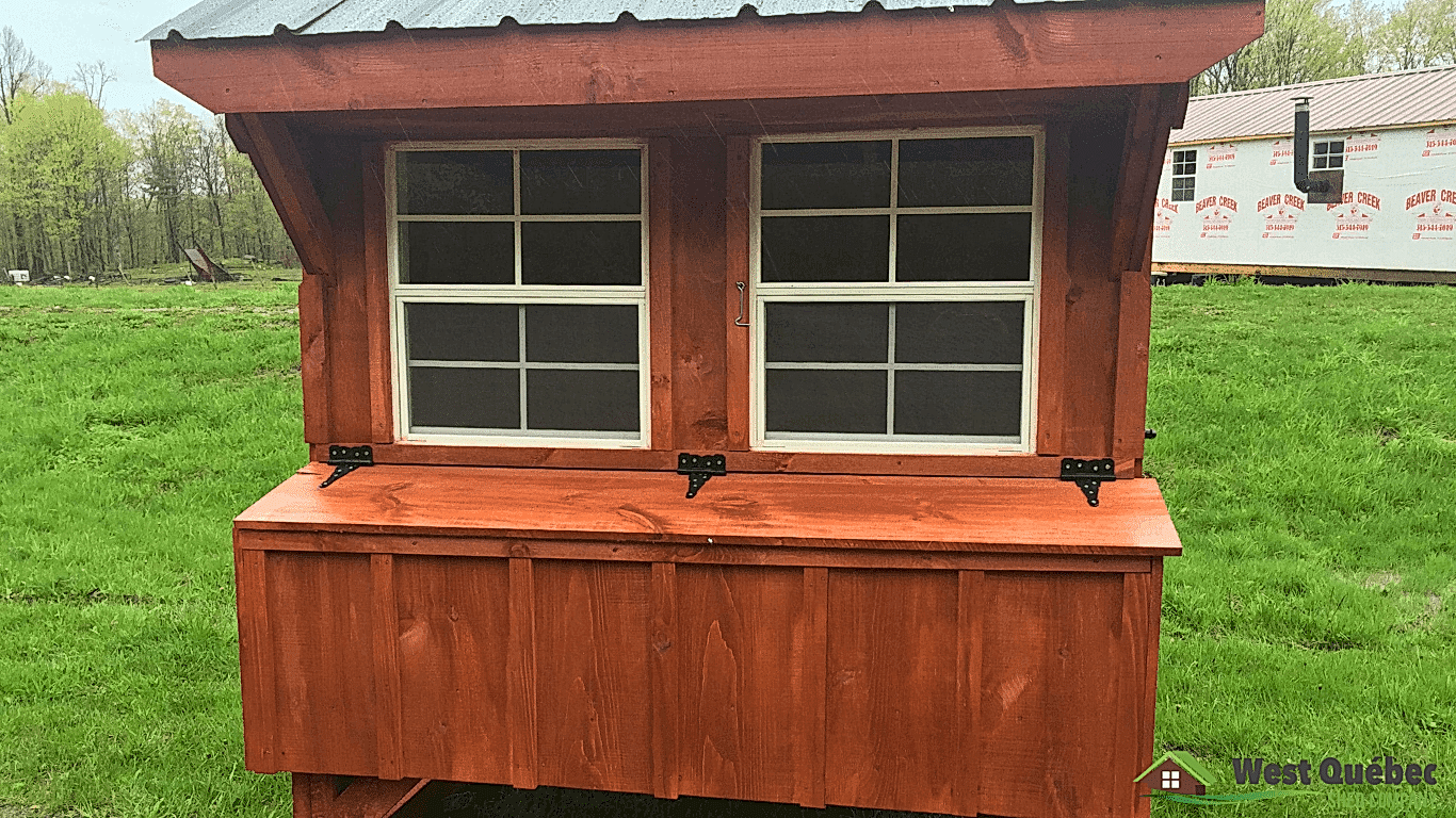 Small Chicken Coop
